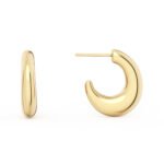 14k Gold Plated Earrings